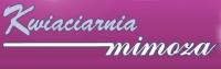 logo firmy